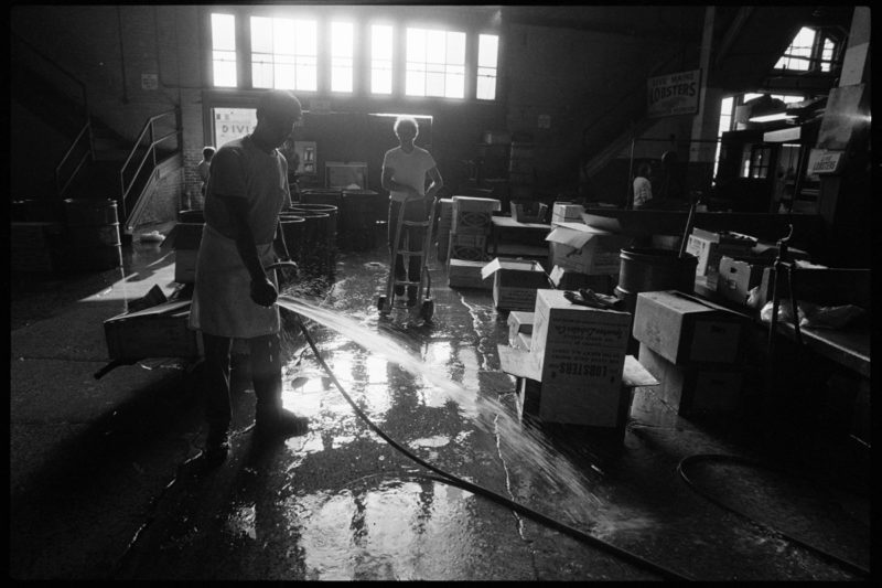 Wholesale Fish Market