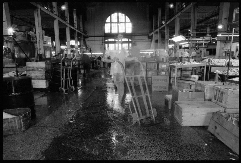 Wholesale Fish Market