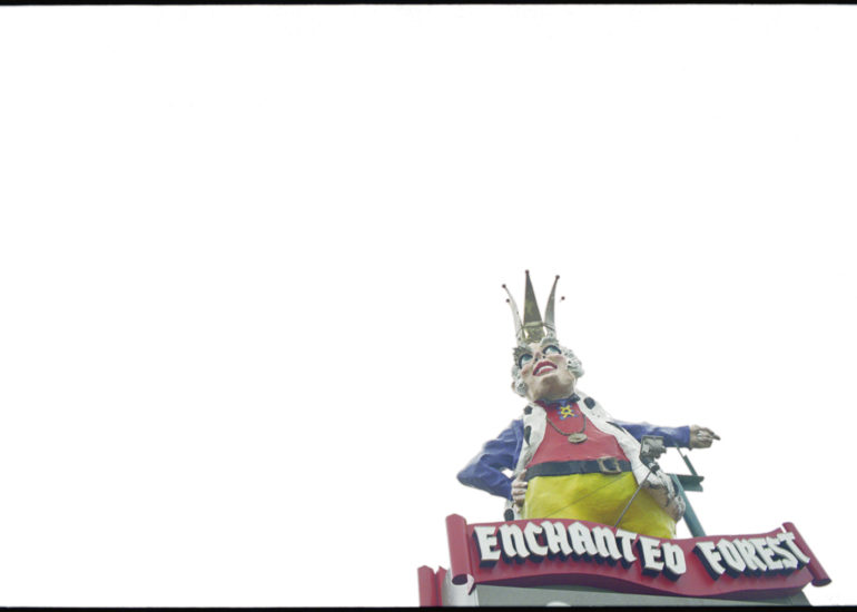 The Enchanted Forest